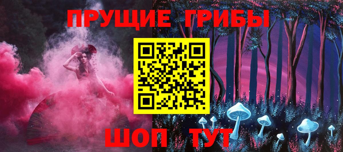 Урус-Мартан  Галлюциногенные грибы Psilocybine cubensis  Вход с VPN 